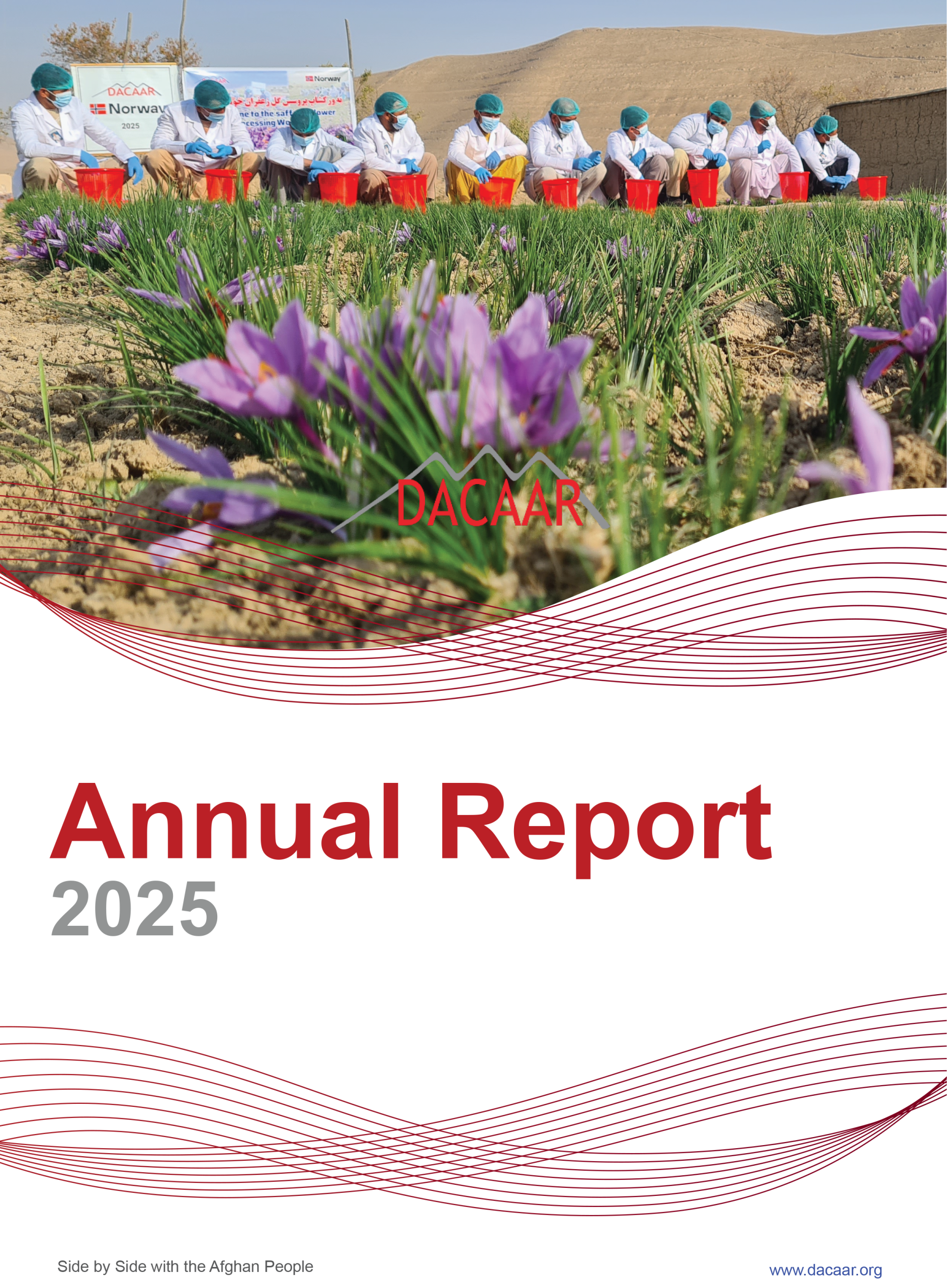 Annual Report 2025